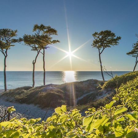 Fewo "Prerow" Buitenkant foto