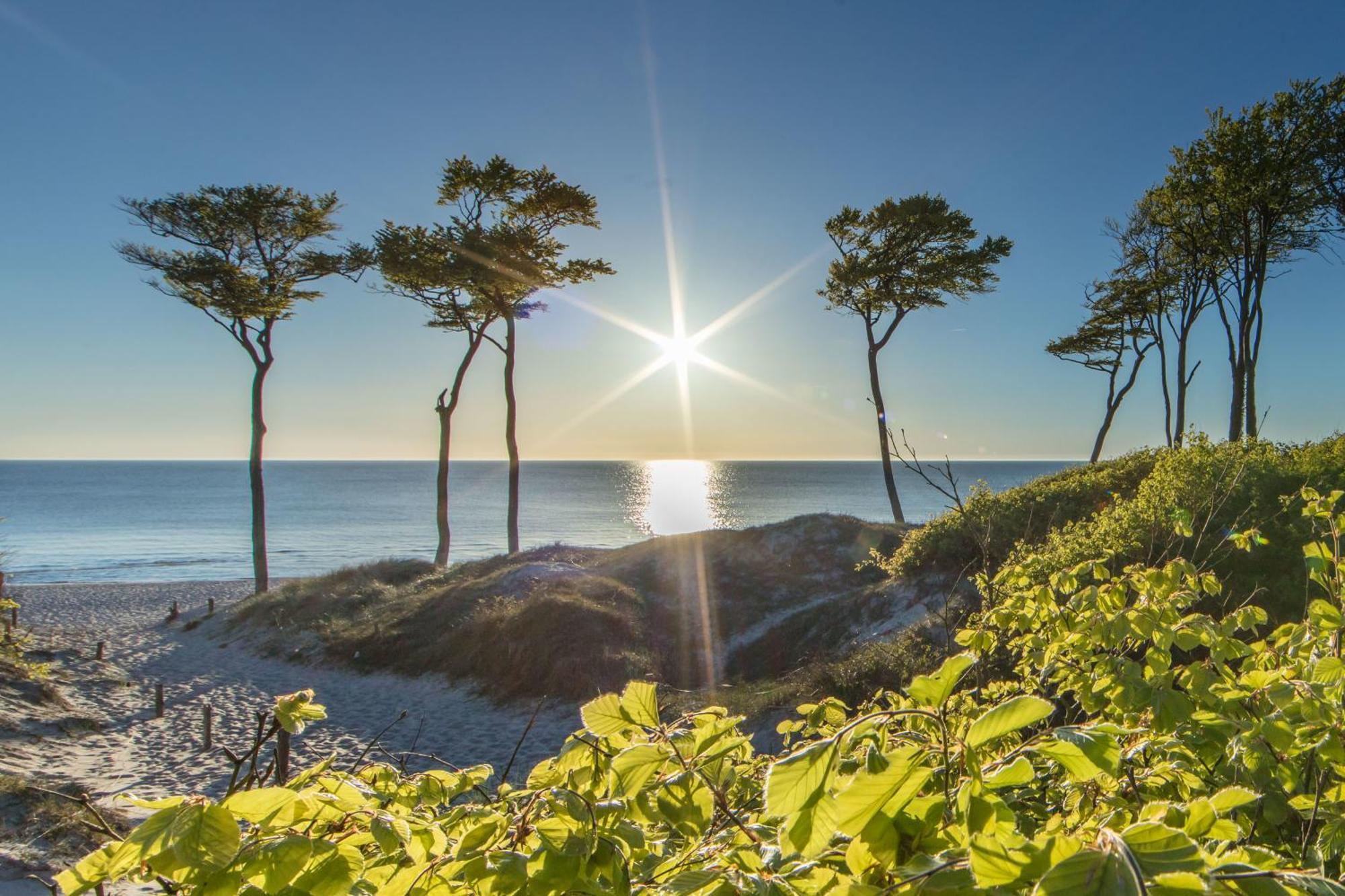 Fewo "Prerow" Buitenkant foto